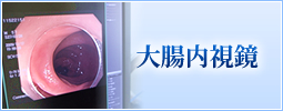 大腸内視鏡